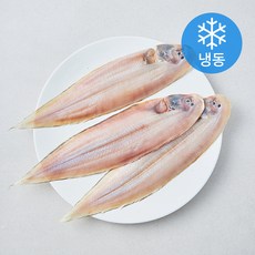 영광법성포 반건조 박대 3미 (냉동), 1개, 450g