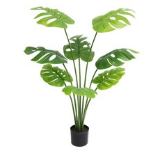 몬스테라 120cm, 혼합색상, 1개