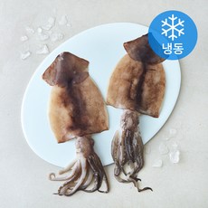 비비수산 손질 간편한 오징어 (냉동), 1개, 350g