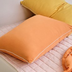 썸머플레이 소프트냉감 베개커버 2p