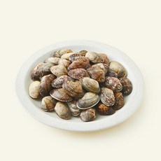 아라보감 해녀가 채취한 삼천포 생물 물바지락 (냉장), 1개, 1kg