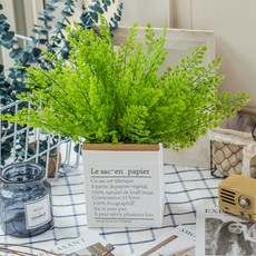 GAPANG 乾花花束TESI048+紙盒, 01綠色