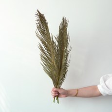 GAPANG 乾燥花 DRYB188, 02號(綠色)