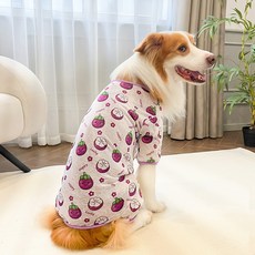 파스텔펫 강아지 후르츠 쿨 올인원, 망고스틴, 1개