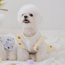 寵物 Artipet 雛菊三明治網眼洋裝, 黃色