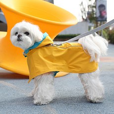 REDPUPPY 寵物連帽斗篷雨衣, 黃色, 1個