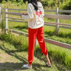 PINKSISLY 設置新鮮的素食訓練頂部 +底部