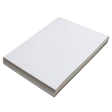 Daniel Stationery 馬糞紙 300g A4 125張, 1組