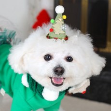 AMYLOVESPET 寵物JJ聖誕尖頂帽, 綠色, 1個