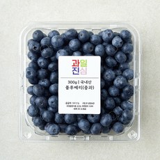 국내산 과일진심 블루베리, 1개, 300g(중과)