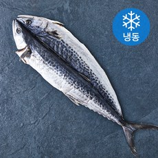 아라보감 국내산 반건조 삼치 (냉동), 350g, 1개
