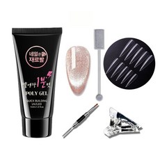 NAILBBAL 貓眼凝膠15ml+金色Stelleto尖+刷子隨機出貨套組, 黃金石尖套裝, 1套