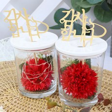 블뤼엔 비누꽃 카네이션 무드등 2p 세트, 레드, 1개