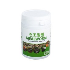 SSP 건조 밀웜, 23g, 1개