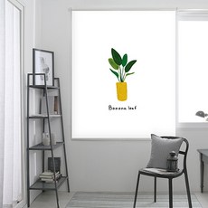 끌래망스 실사롤스크린 일반