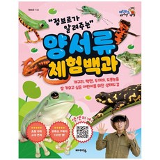 Viking 鄭布爾的兩棲類體驗百科, 鄭布爾, 體驗維京