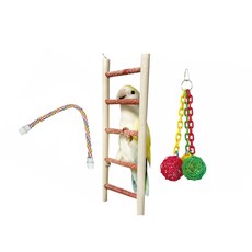 葉鸚鵡 Conure Quaker 牡丹趾甲剪套組 A-20, 1套, 混合顏色