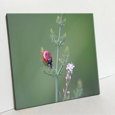 UDP 瓷磚畫框 3932805