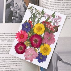 러블리팜 드라이플라워 압화꽃 28피스 DIY 세트, 1세트, 알프스 1세트, 알프스
