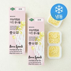 베리네이처 야채큐브 무농약원료 가공식품 인증 다진 콩나물 2단계 (냉동), 60g, 2개
