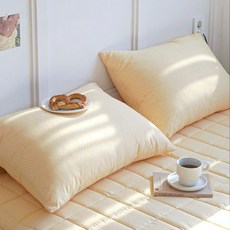 LucidSleep Dewdrop 圓點無塵枕頭套