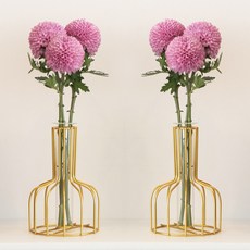 Gongganlove 12線鐵藝框架花瓶2件組, 金色