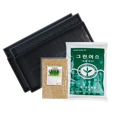 호미닷컴 새싹튼튼 토양새싹밀키우기 세트, 1세트