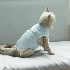 BUTU PET 貓咪長度可調純棉絕育術後服, 1個, 藍色
