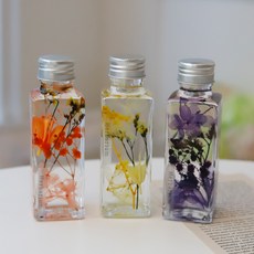 標本裝飾 B 3種組+燈, 橙色、黃色、紫色