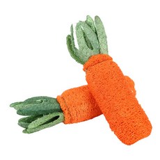 펫트롱 반려동물 스트레스 해소 당근 장난감, 2개