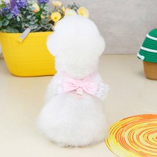 DING DONG PET 蕾絲蝴蝶結造型犬用胸背帶, 粉色