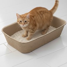 둥둥펫 고양이 휴대용 일회용 종이 화장실, 브라운, 1개
