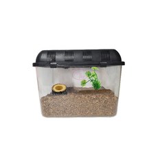 로라펫 곤충 키우기 세트 파충류 사육장 1호, 혼합색상, 1세트