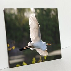 UDP 磁磚相框 單品 A型 3903639, 白色素面