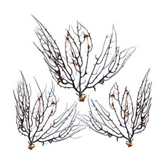 冠軍黑色筆組, 黑色, 3個