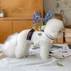 PETSLAND 狗狗菁英領帶胸背帶, 紅色, 1個
