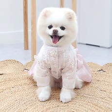 이츠독 반려동물 해원 공주 한복, 혼합색상, 1개