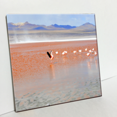 HTP 紅鶴磁磚 C787, 1個