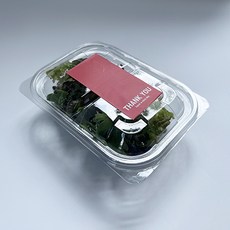 Tinapicnic 迷你2格一次性透明容器 + 感謝貼紙紅色組合, 20套, 一次性容器 + 貼紙