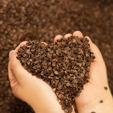 사랑예감 메밀 베개 충전재 1kg, 1개