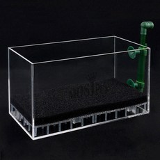 ISTA KOREA 底部過濾盒 薄型 L