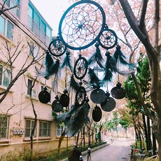 레이티드림 블랙 스완 자개 드림캐쳐, 혼합색상