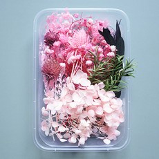 Makemine混合乾花盒DIY桃, 混色