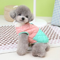 파스텔펫 반려동물 컬러 누빔 패딩 조끼, 그린, 1개