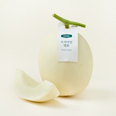 온브릭스 프리미엄 화이트드림 멜론, 1개, 1.5kg