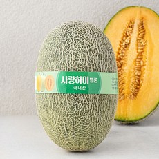 사랑하미 진주 멜론 하미과, 1개, 1.5kg 이상