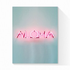 Edenmisul POP霓虹藝術紙