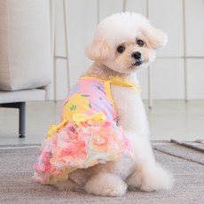 핑카홀릭 반려동물 클라리스 플라워 레이스 원피스 NAXA-OP7748, 인디언핑크, 1개