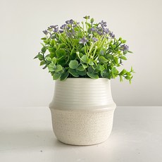 fresh garden Duellet 陶瓷迷你花盆, 1個, 混和色