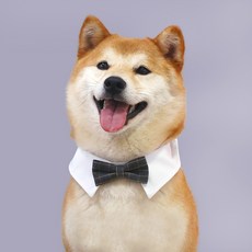 파스텔펫 반려동물 카라 체크 나비넥타이, 차콜, 1개